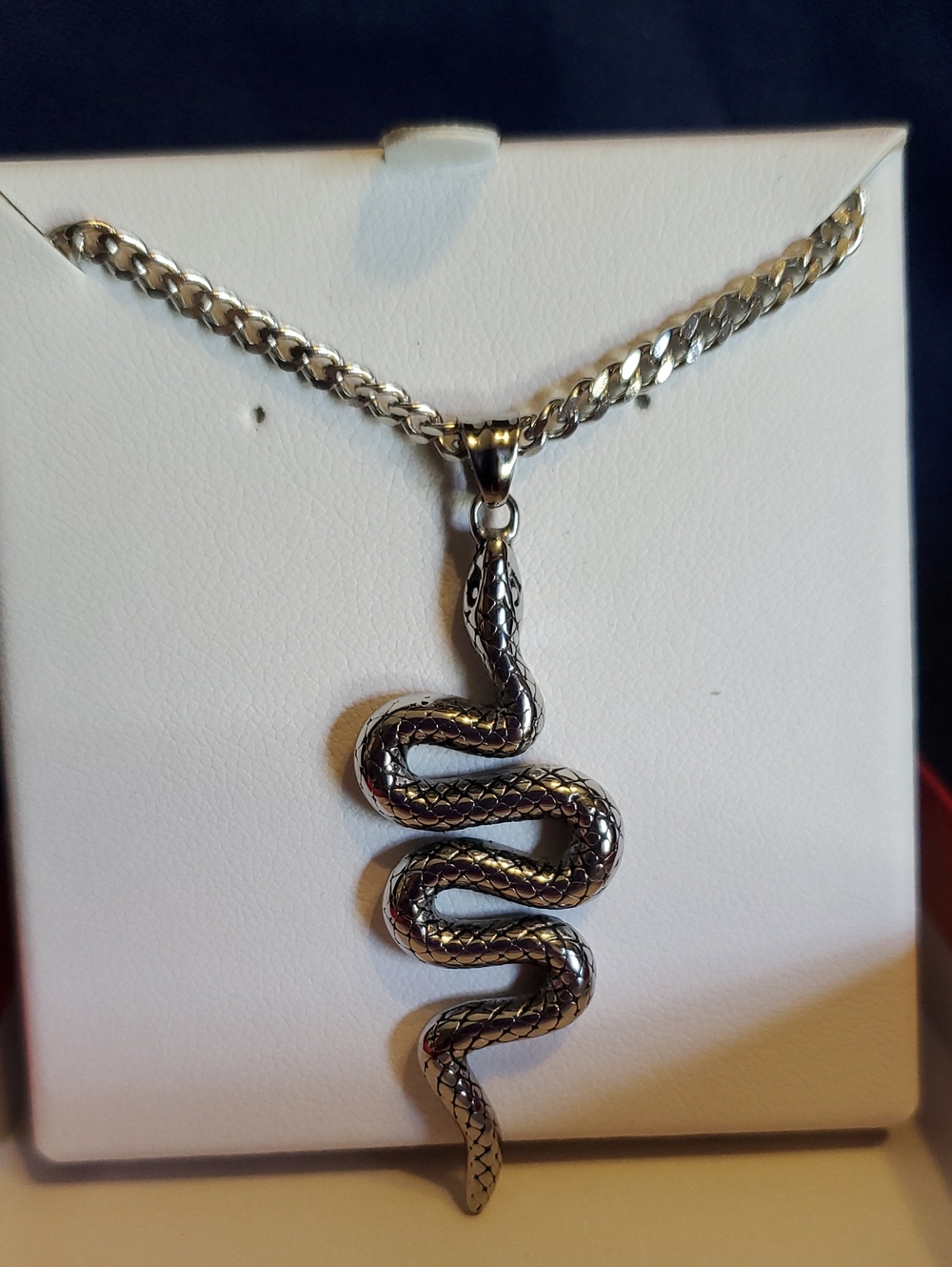 Stainless Steel Snake Pendant w/22"  Chain Necklace - Silver